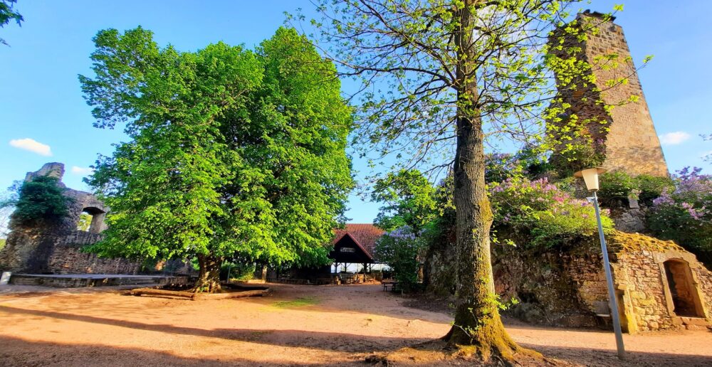 Förderverein zur Unterhaltung der Moschellandsburg der Stadt Obermoschel e.V. 