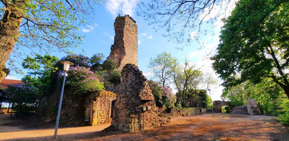 Förderverein zur Unterhaltung der Moschellandsburg der Stadt Obermoschel e.V. 