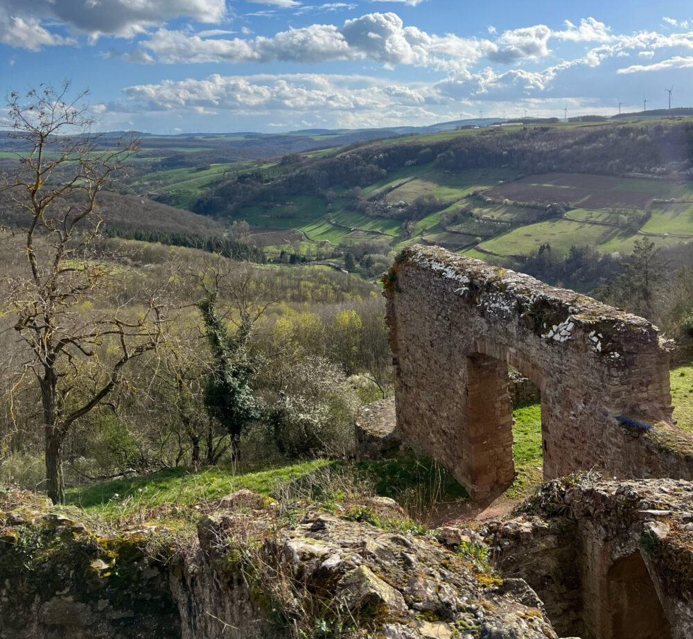 Förderverein zur Unterhaltung der Moschellandsburg der Stadt Obermoschel e.V. 